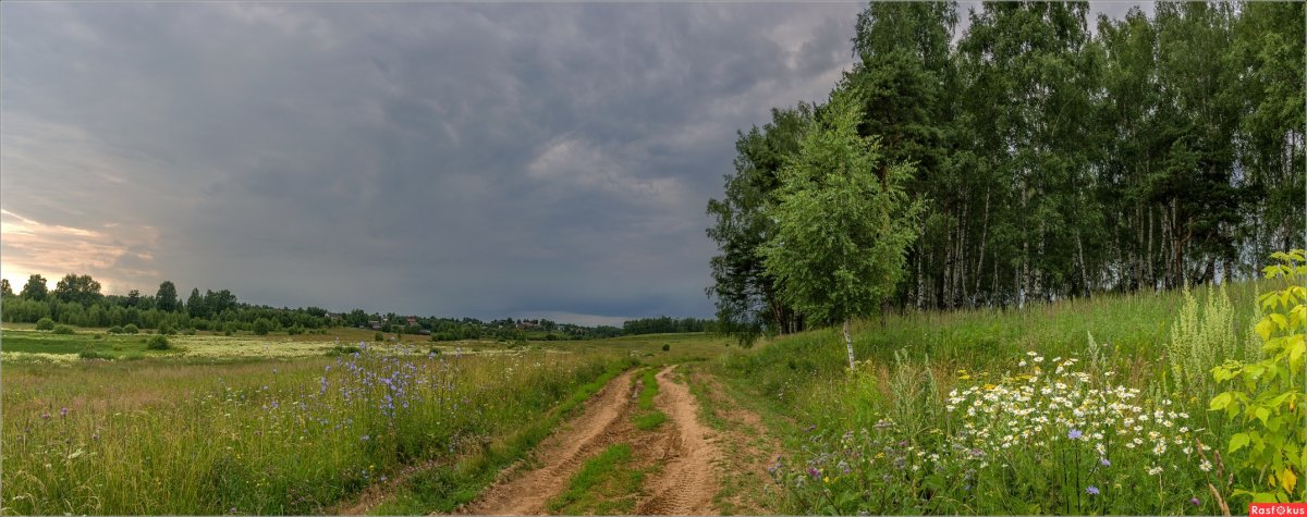 Август деревенская природа