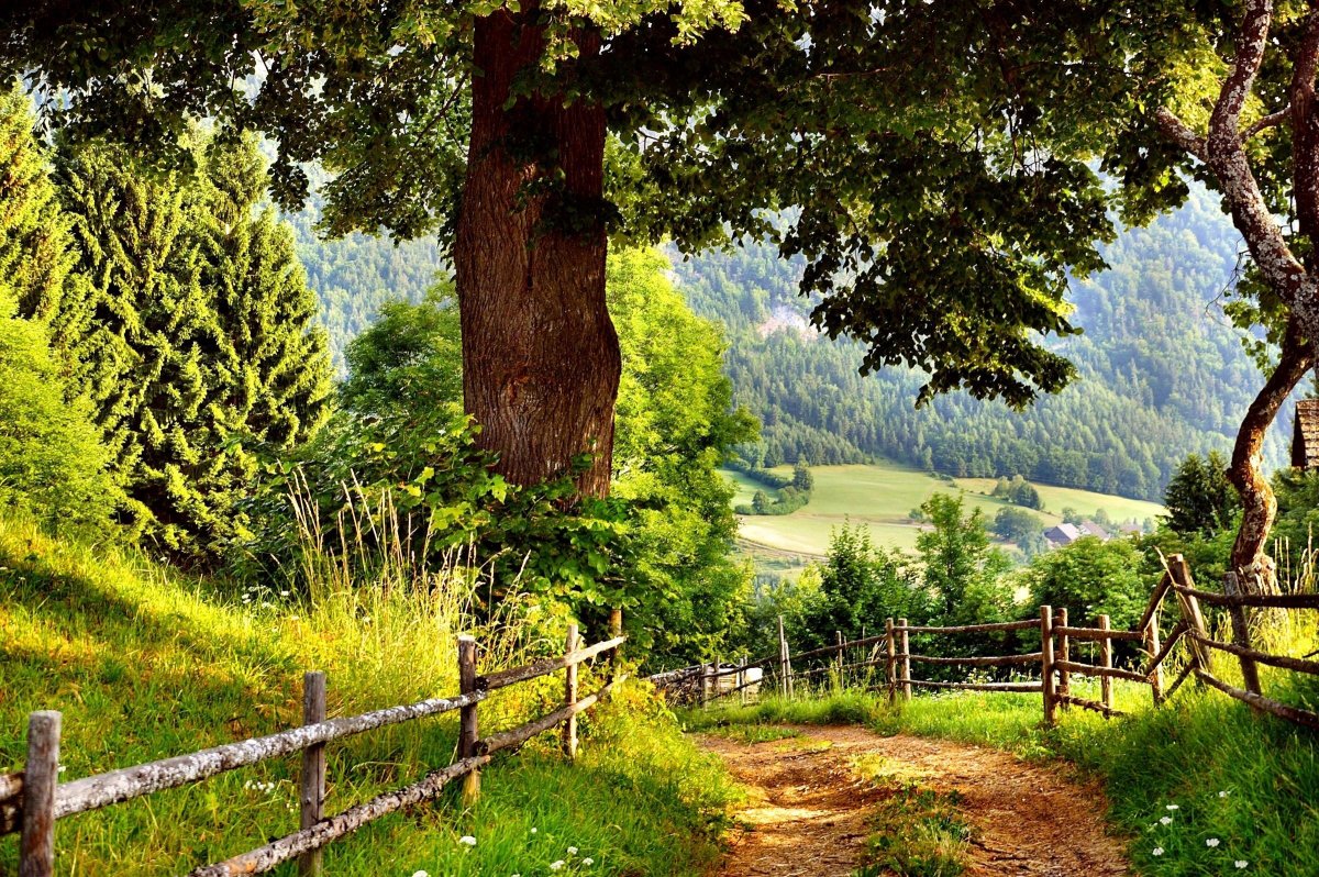 Природа сельской местности