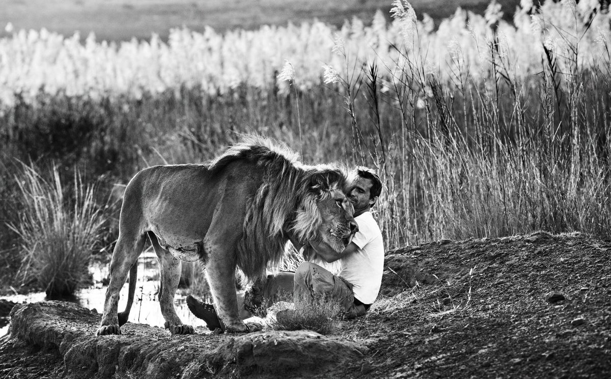 David Yarrow фотограф