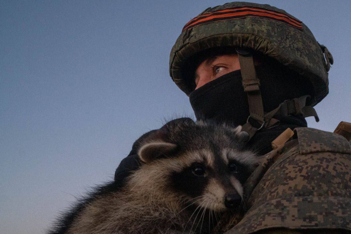 Российские военные с енотом