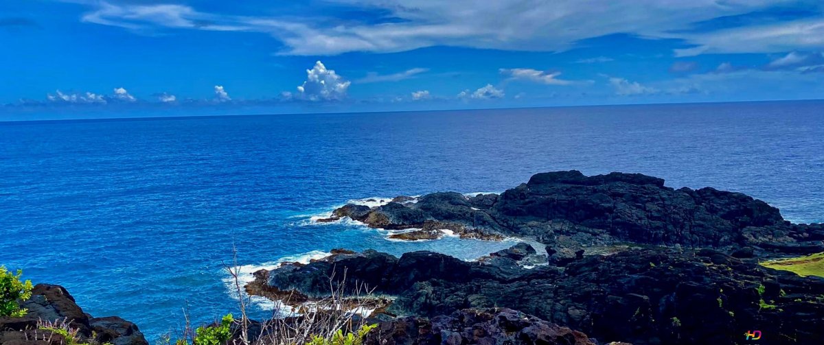 Trimay Blue Ocean Biome