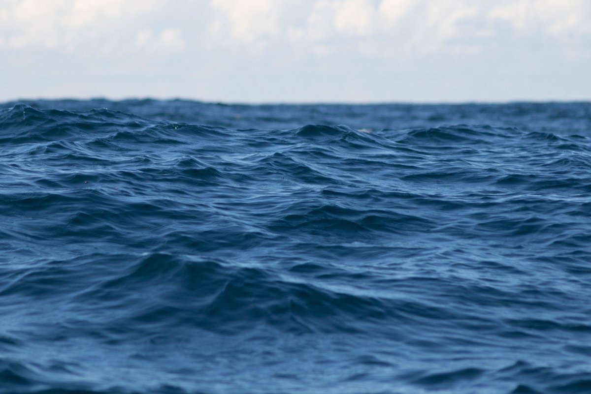 Открытое море