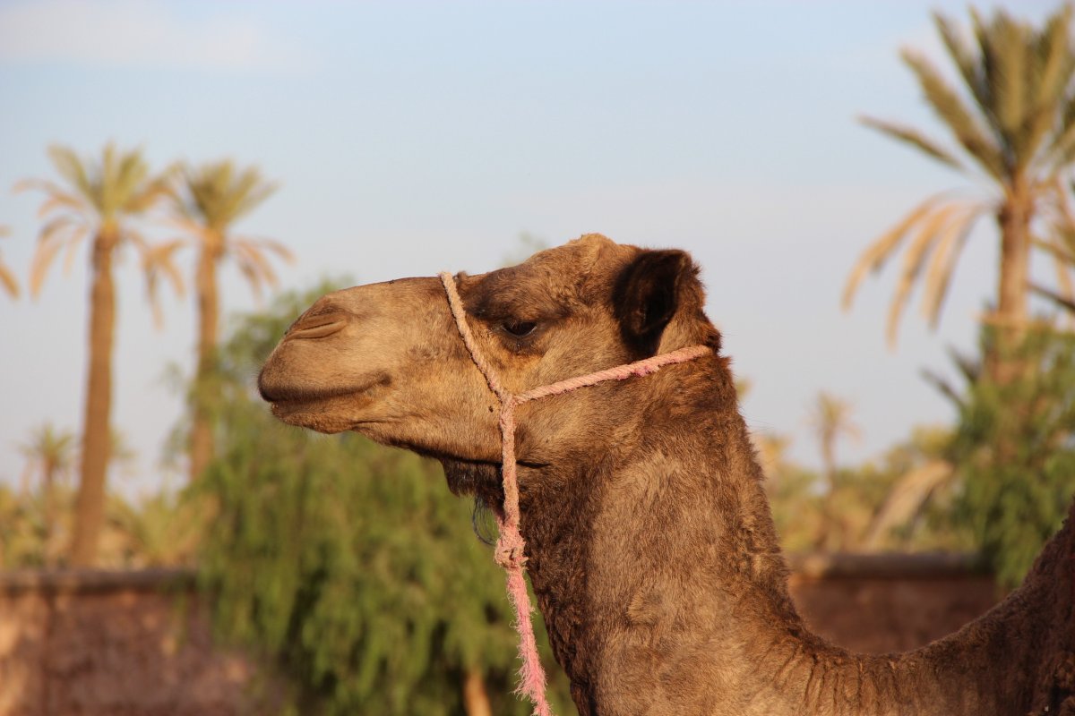 Happy hump Day