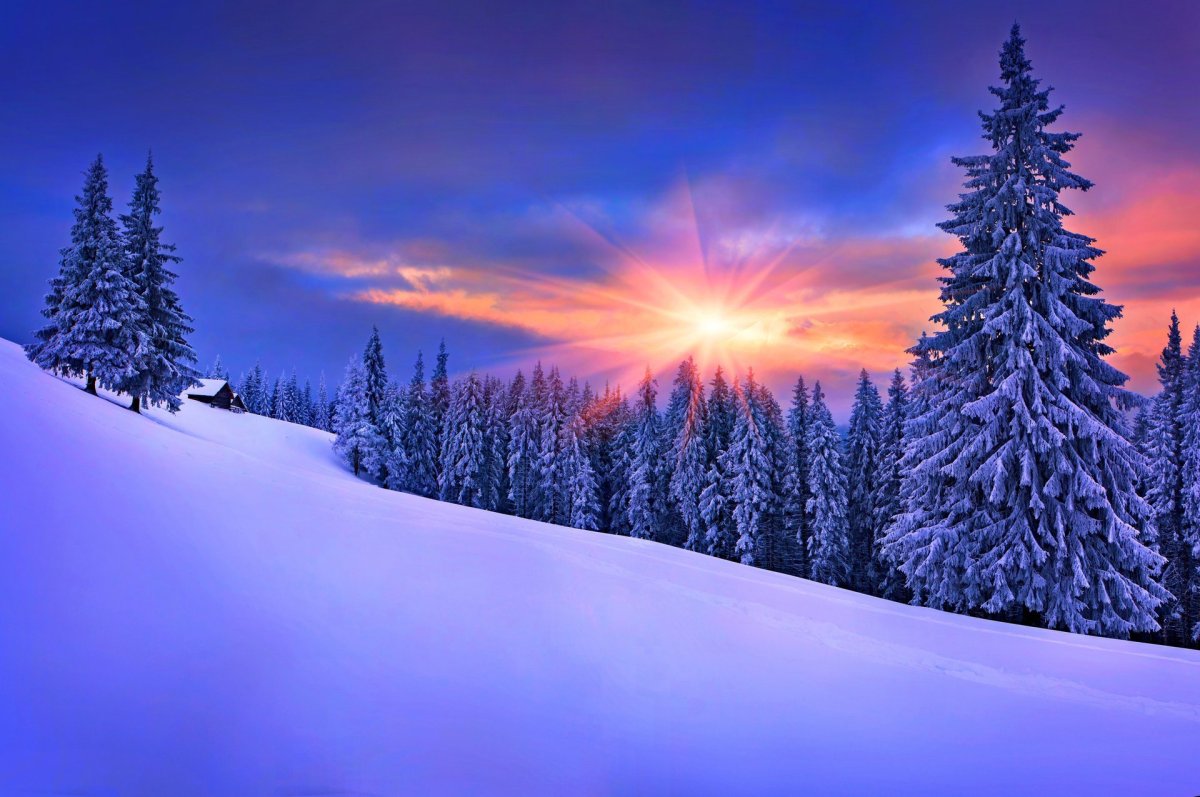Зимняя природа