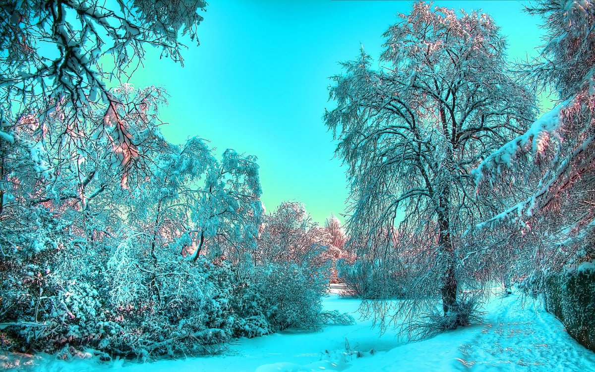 Зимний пейзаж