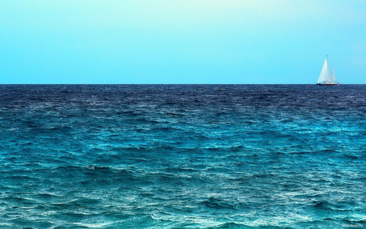 Море Горизонт