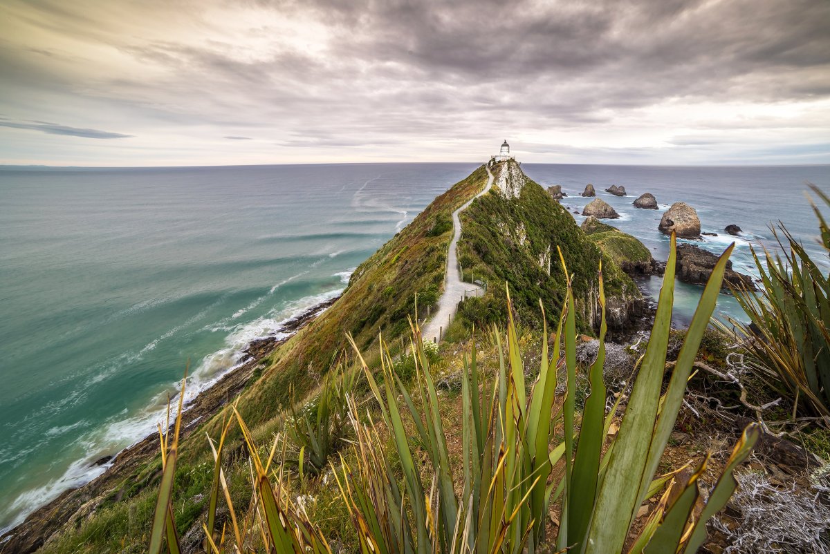Matai New Zealand