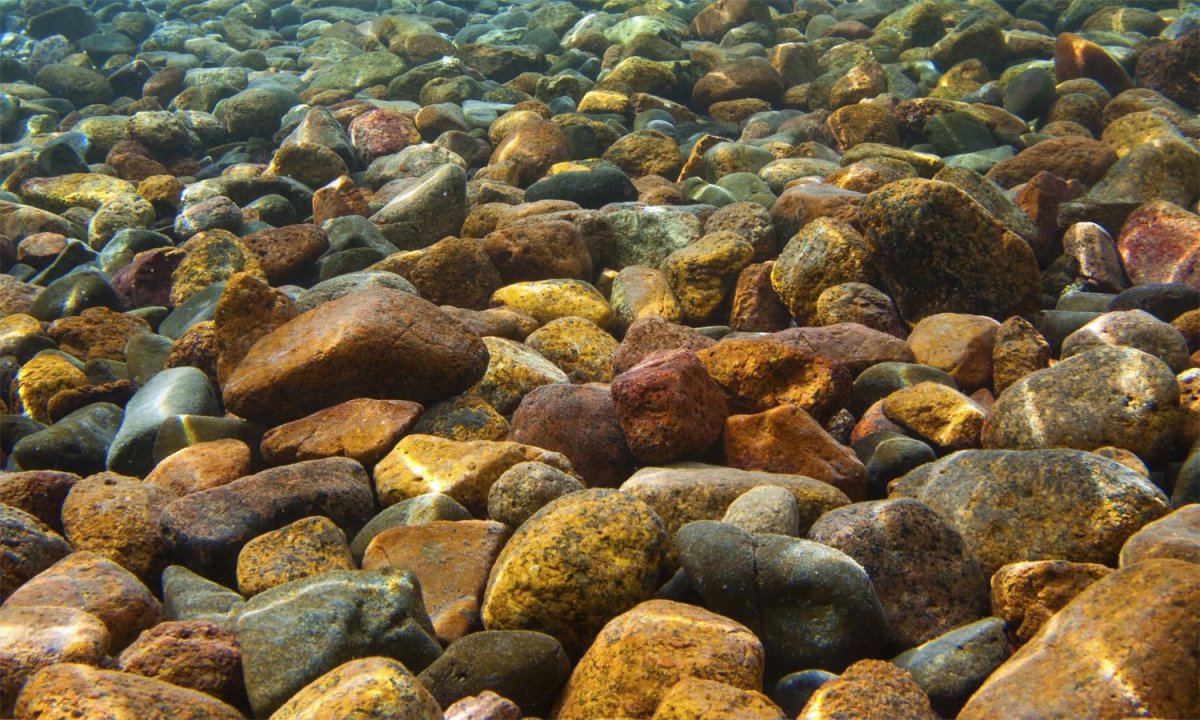 Морское дно камни