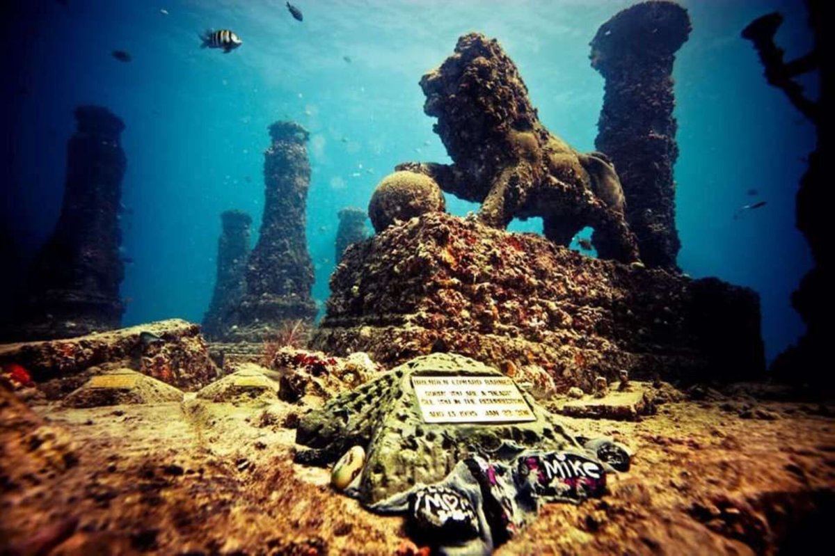 Подводное кладбище Neptune Memorial Reef