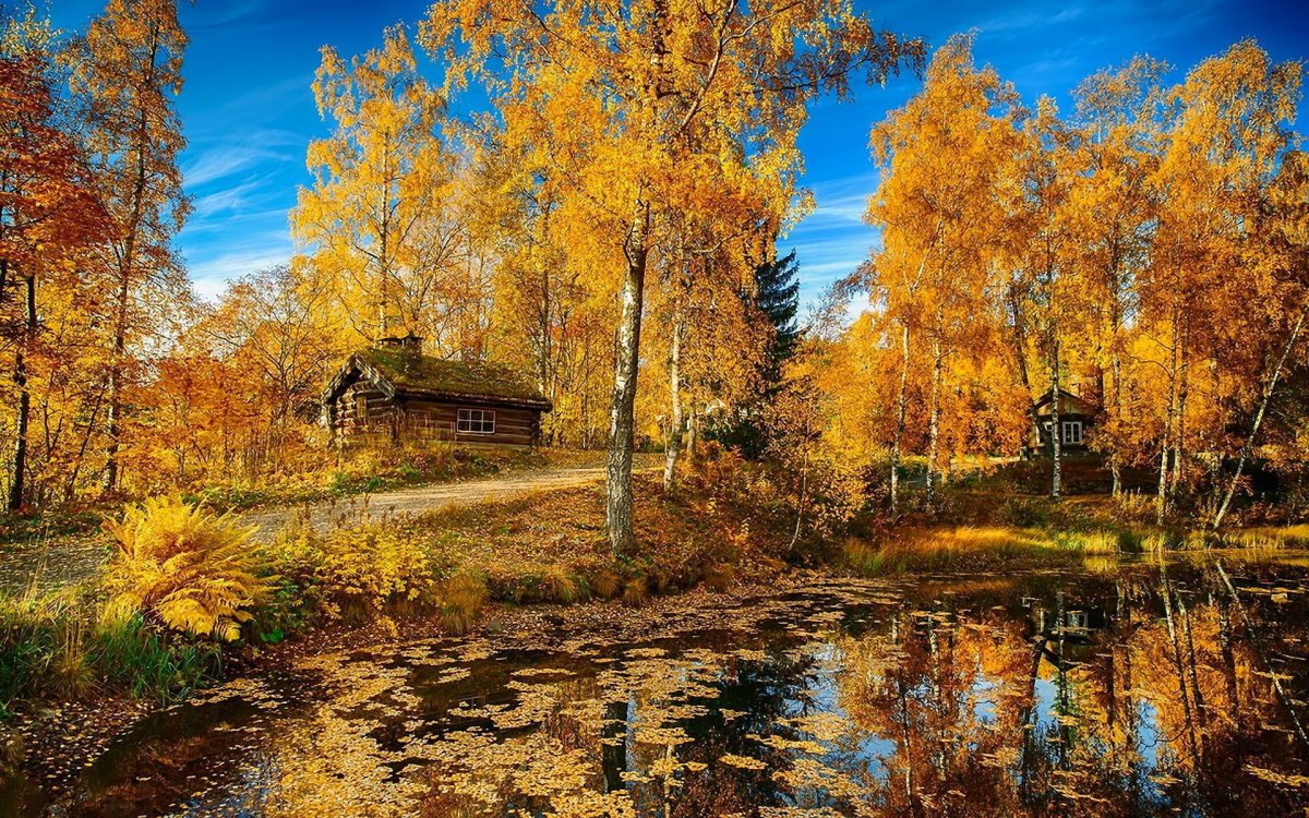 Природа осенью