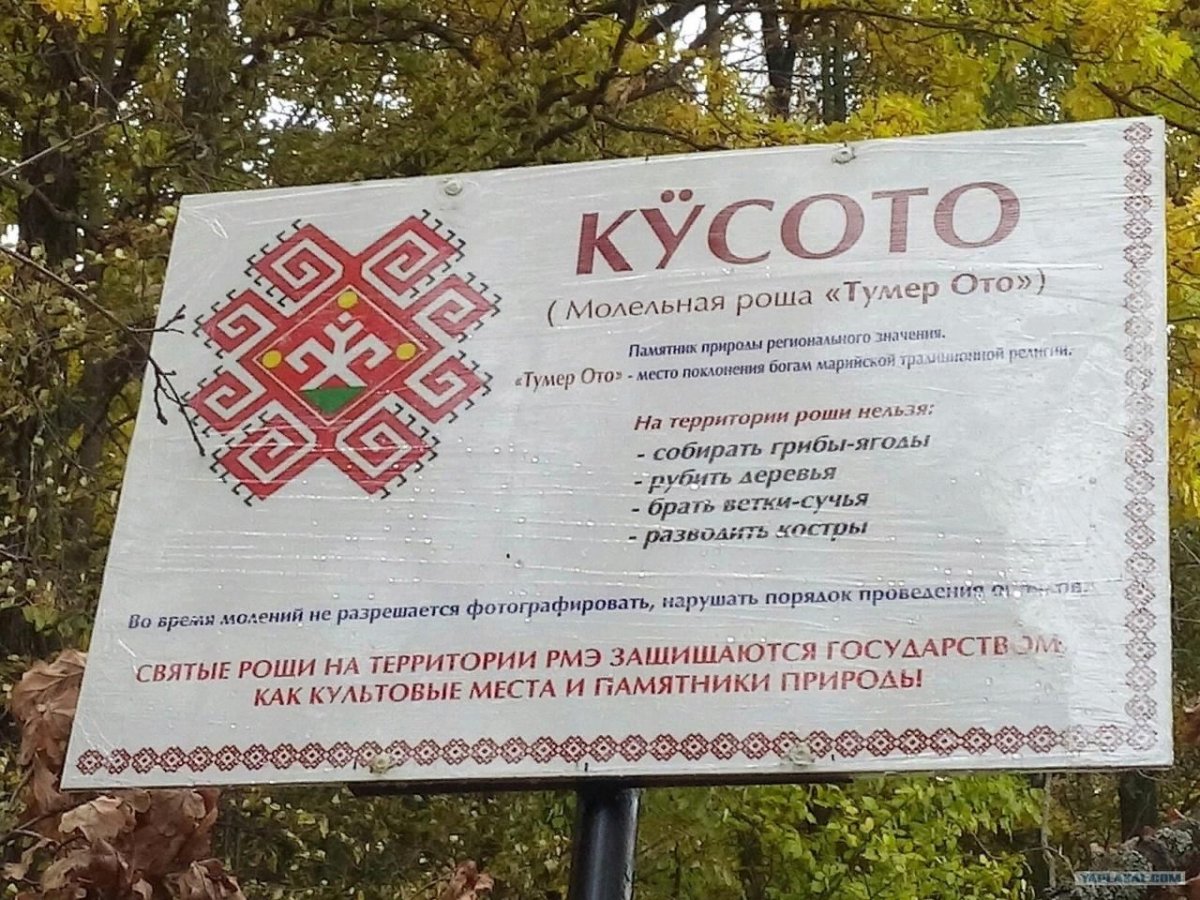 Священная роща марийцев