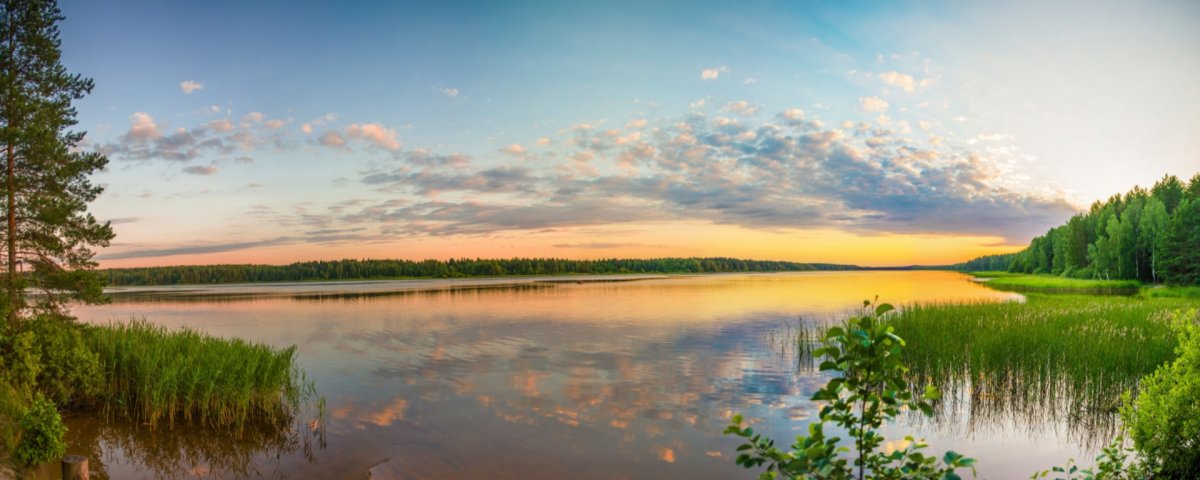 Берег реки панорама