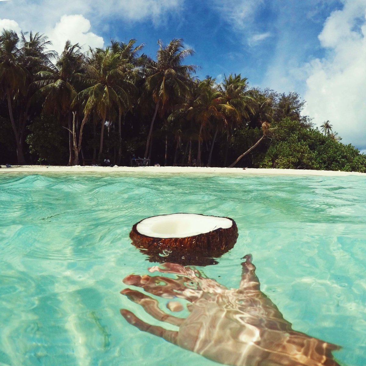 Coconut Tree Hulhuvilla Beach