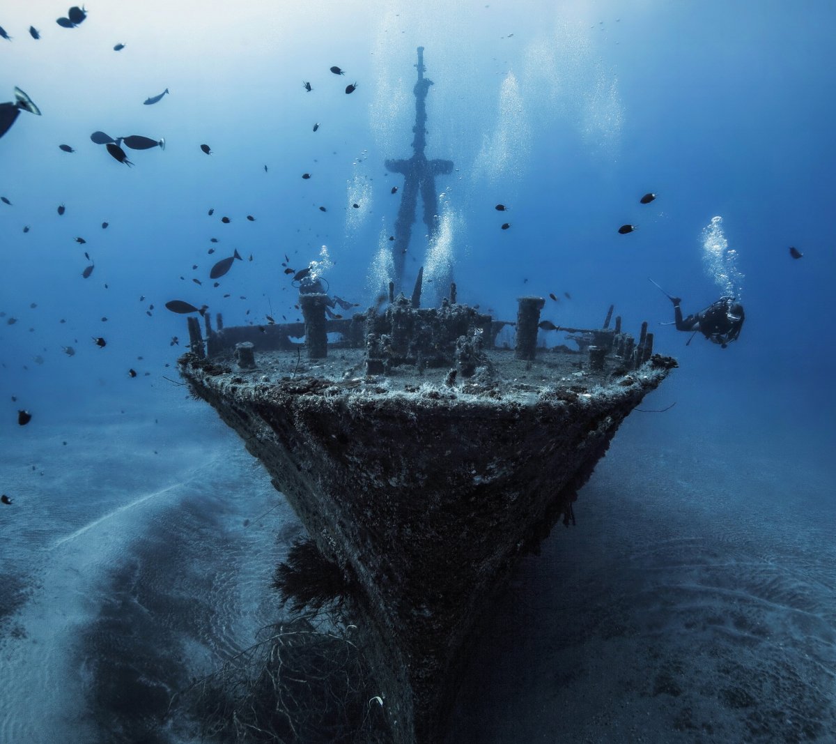 Саргассово море Бермудский треугольник