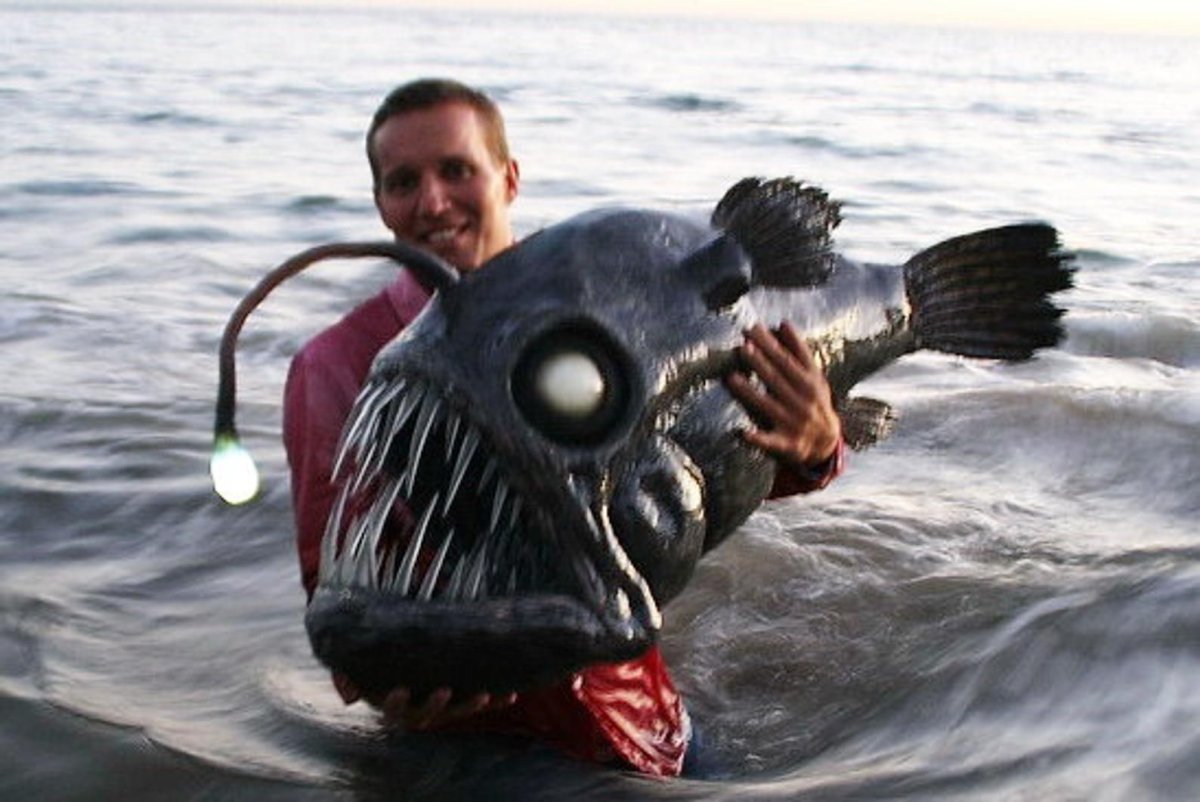 Angler Fish рыба