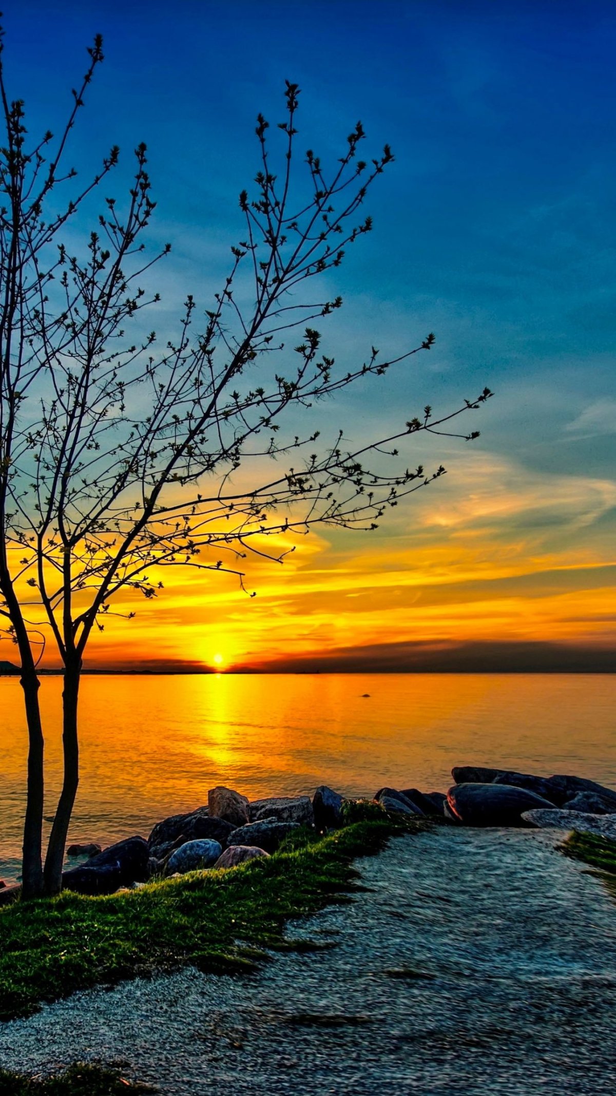 Красивая природа