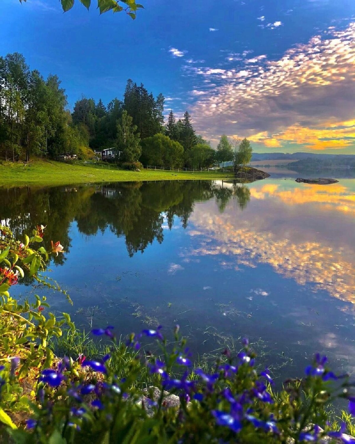 Самые красивые пейзажи лета