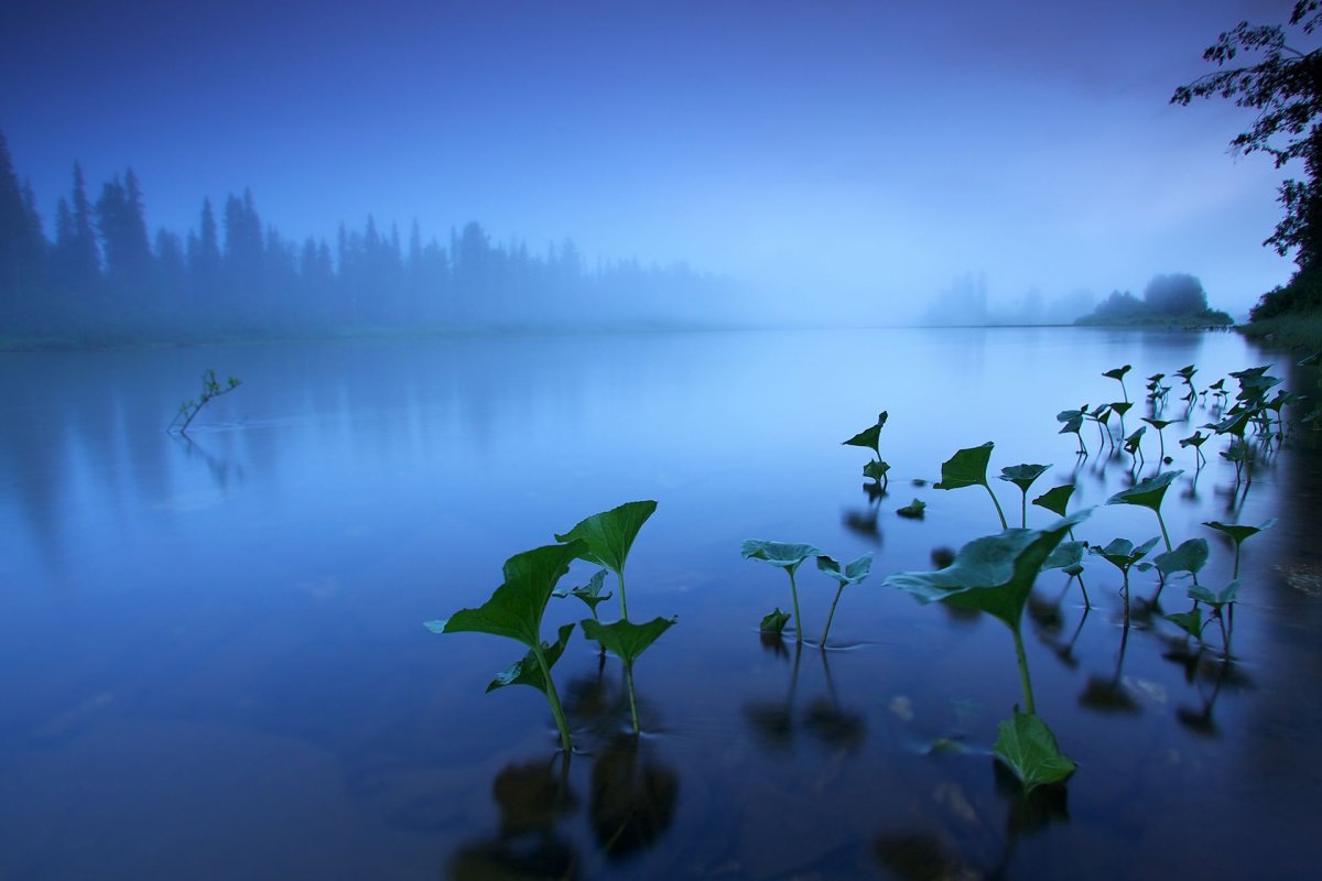 Природа вода тишина