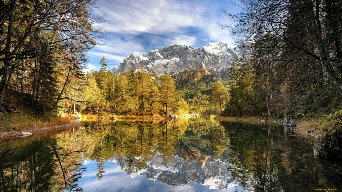 Баварский лес Германия