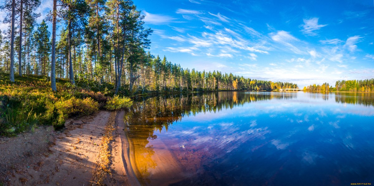 Карелия лес река