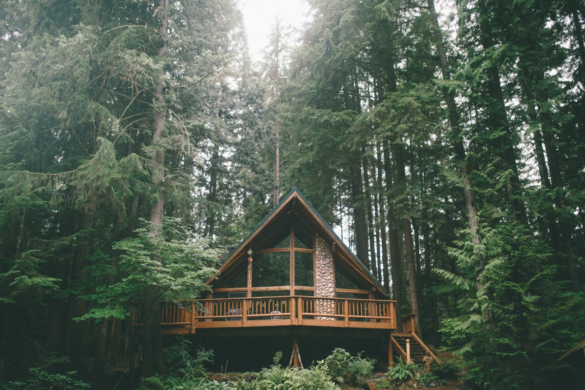 Forest House Хижина в лесу