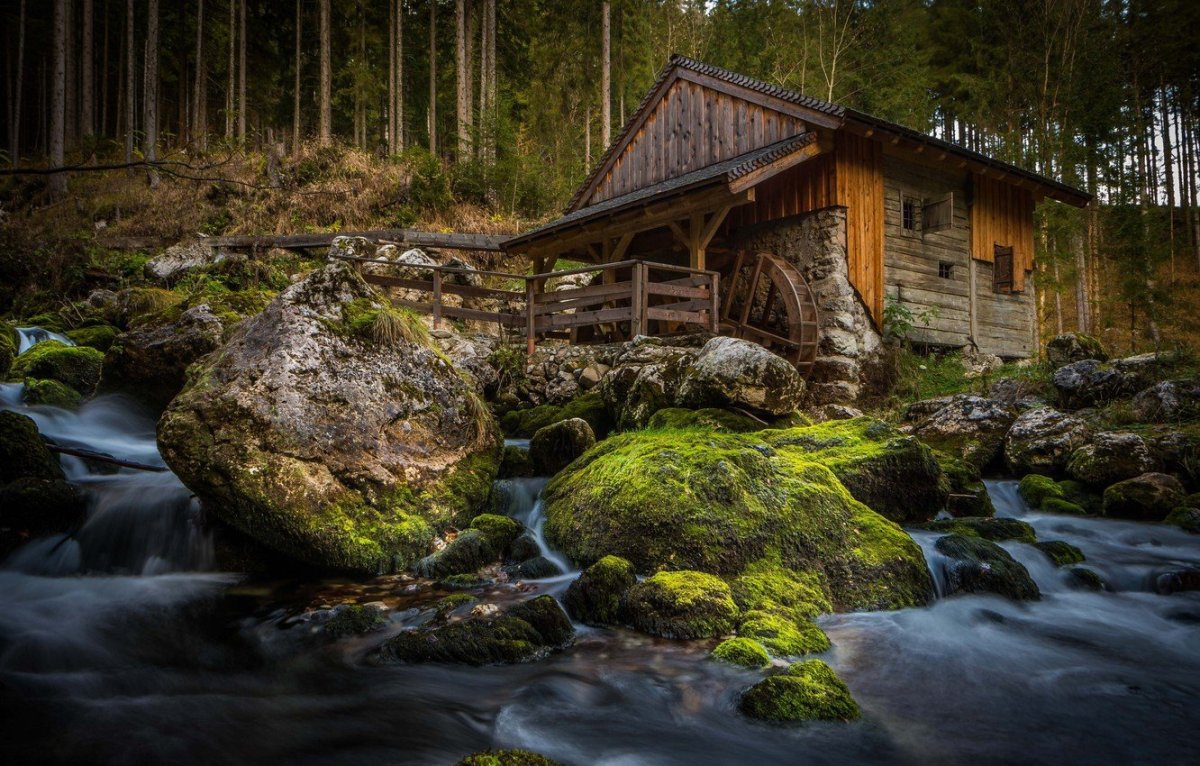 Дом у реки (River Cottage)