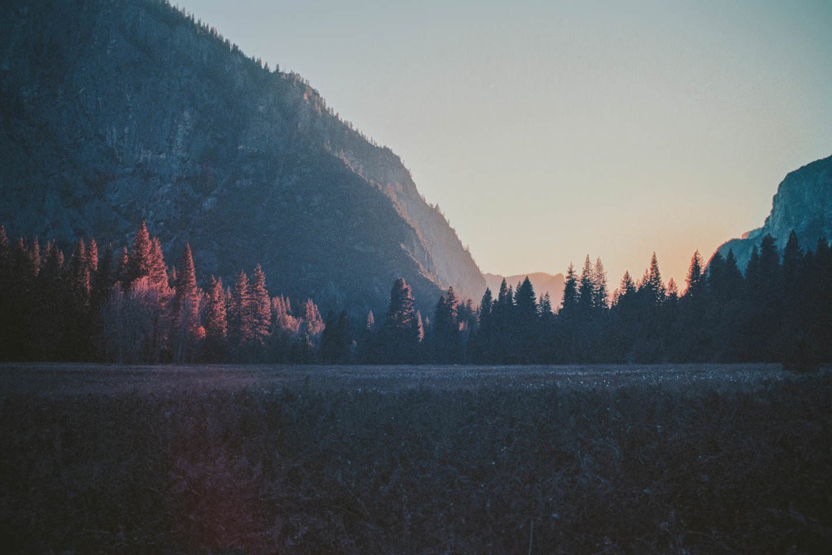 Тумблер природа