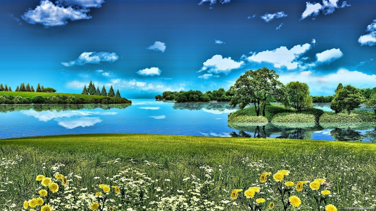 Баннер природа