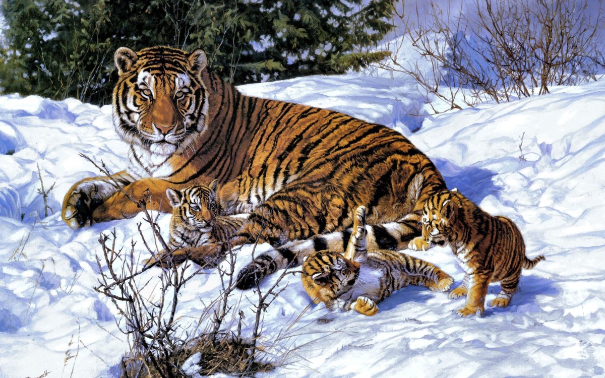 Уссурийский тигр живопись