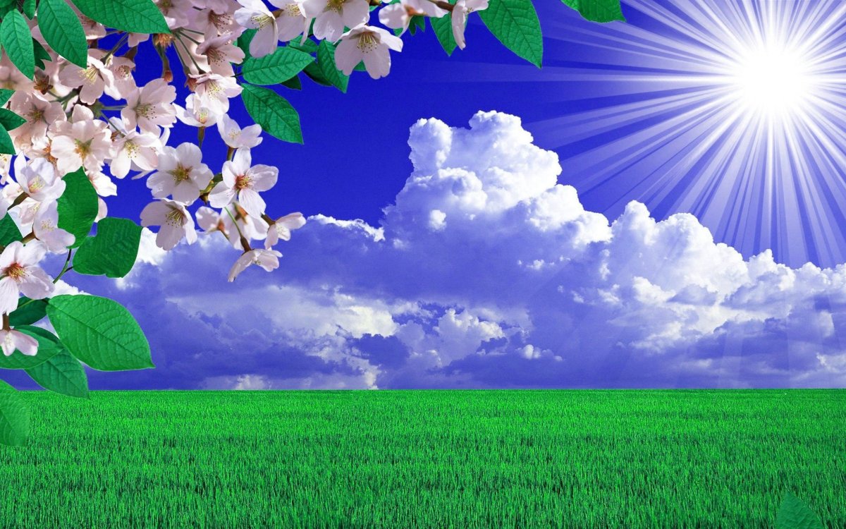 Фон природа