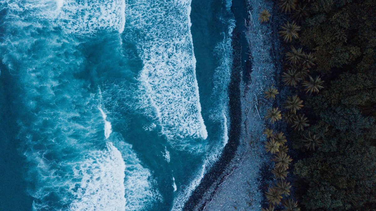 Море вид от воды