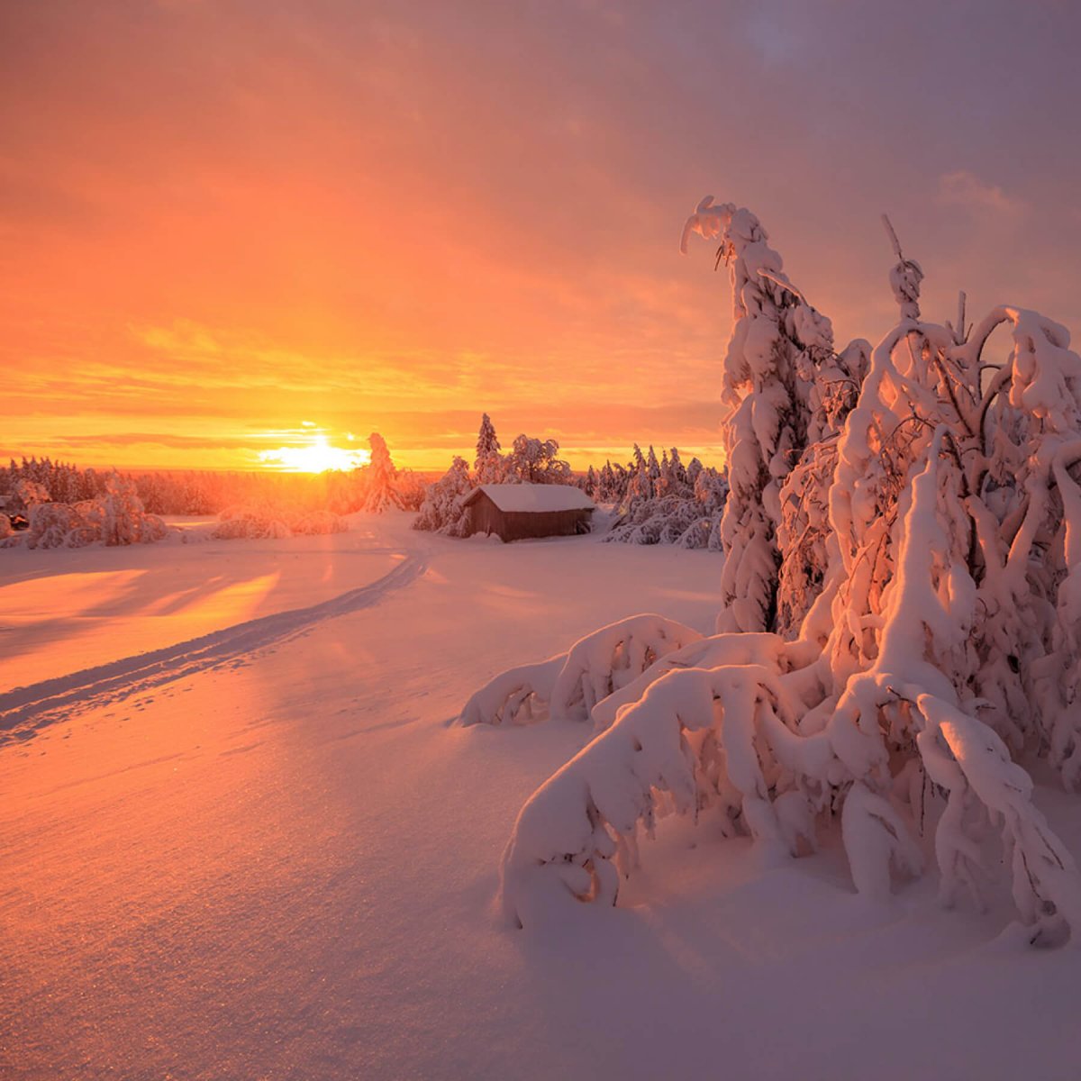 Каамос Лапландия