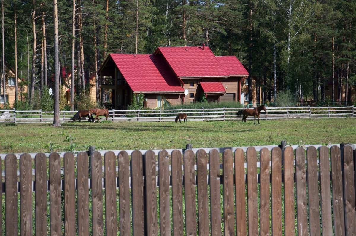 Танай зоопарк