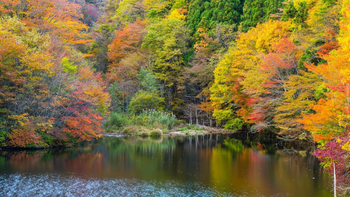 Ohio nature