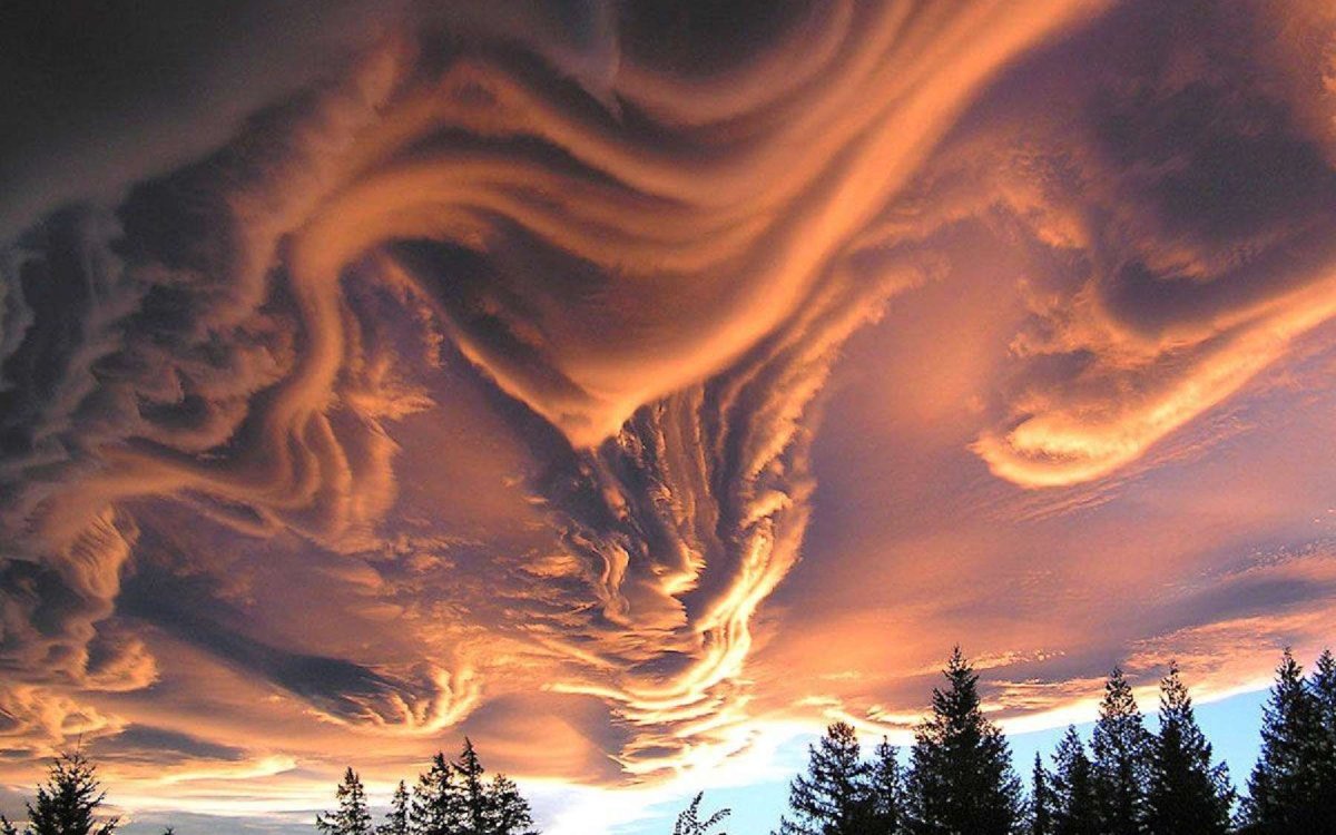 Облака asperatus