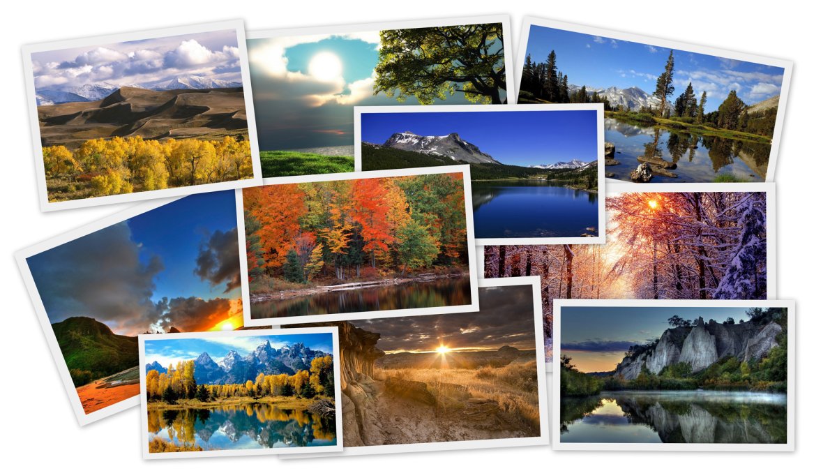 Коллаж природа