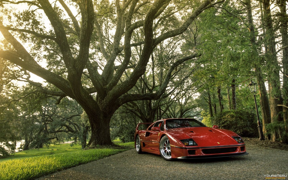 Ferrari f40 Gran Turismo Sport