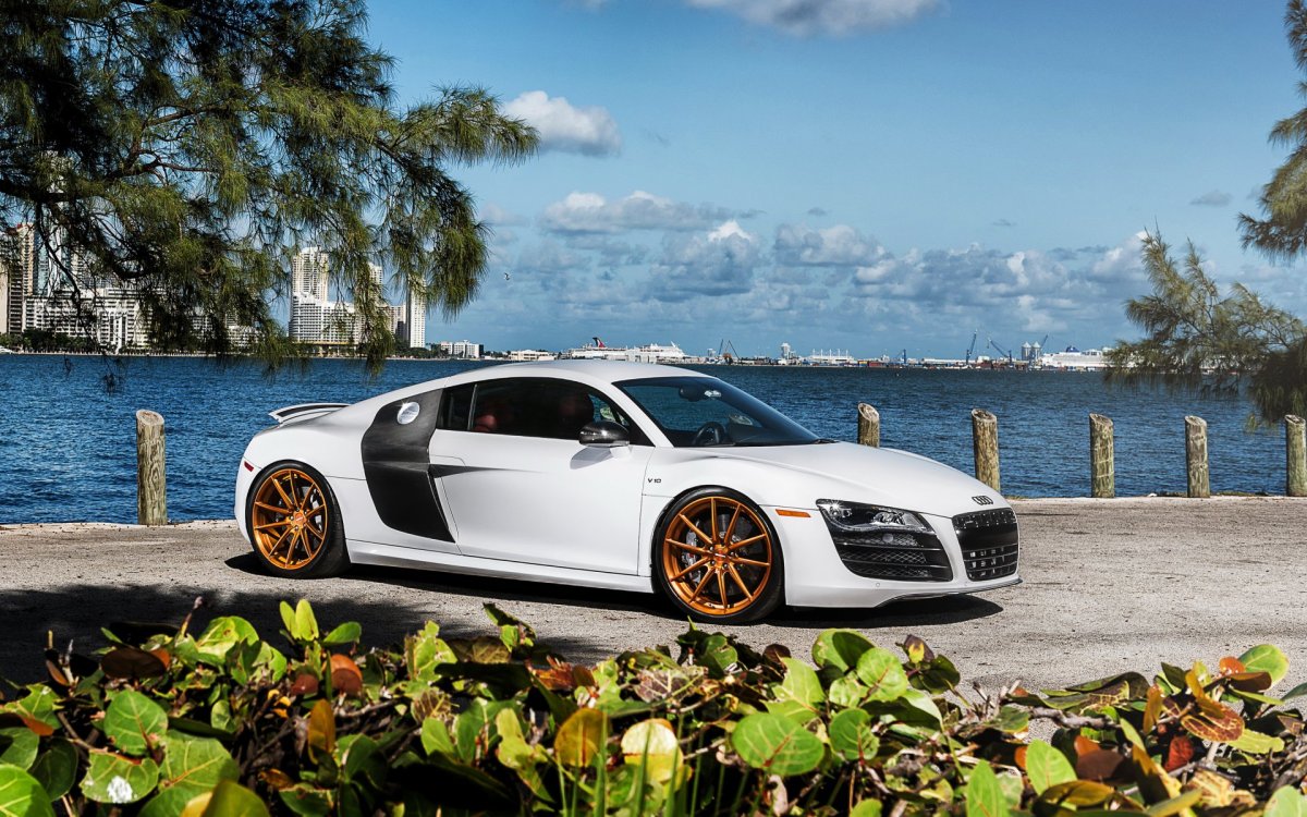 Audi r8 Алекперов