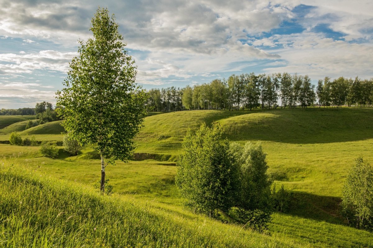 Природа Татарстана Татарстана