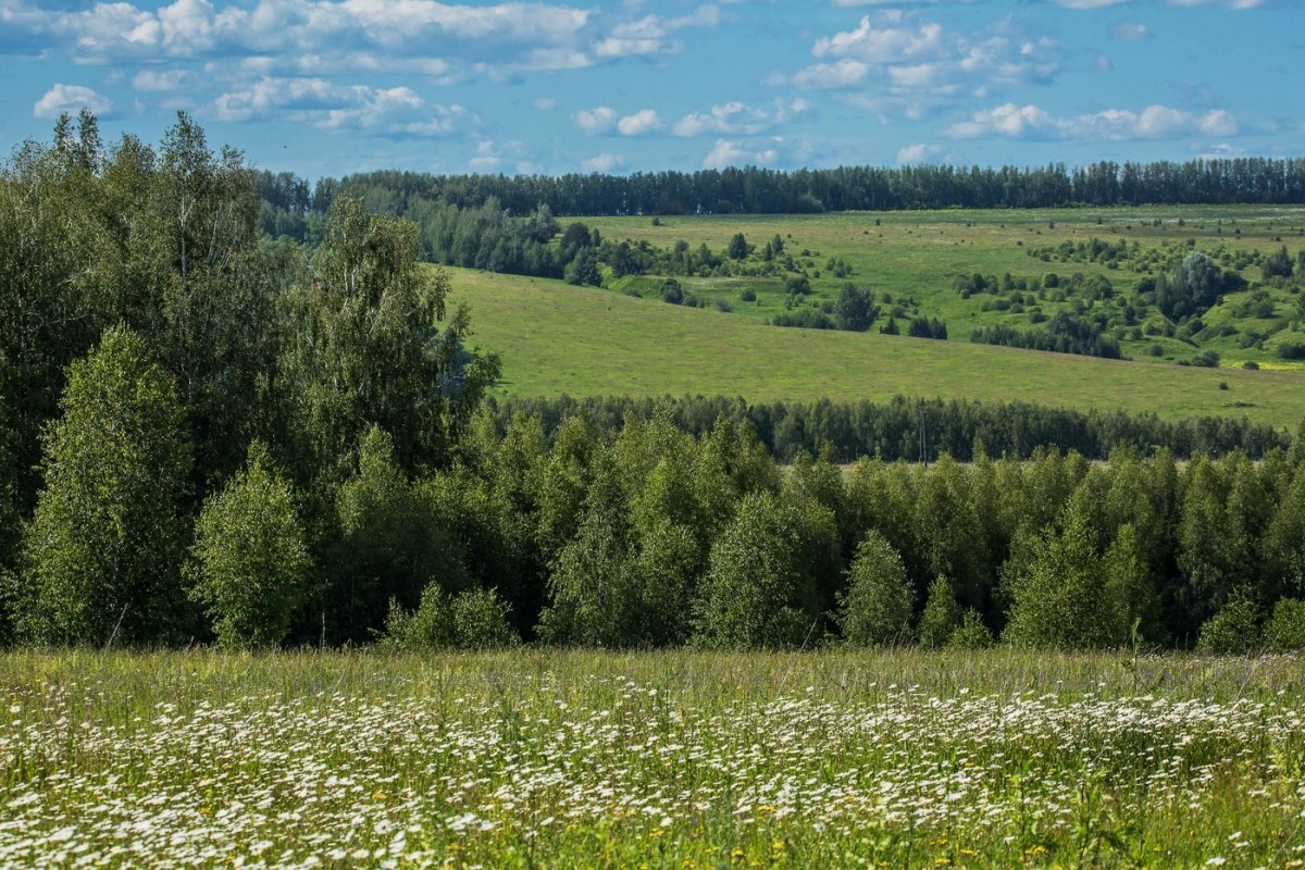 Зеленодольский район природа