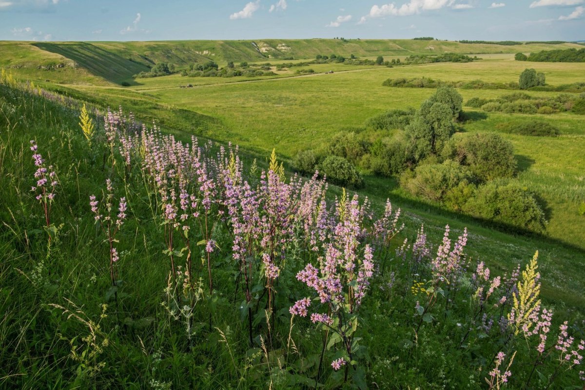 Луга Татарстана