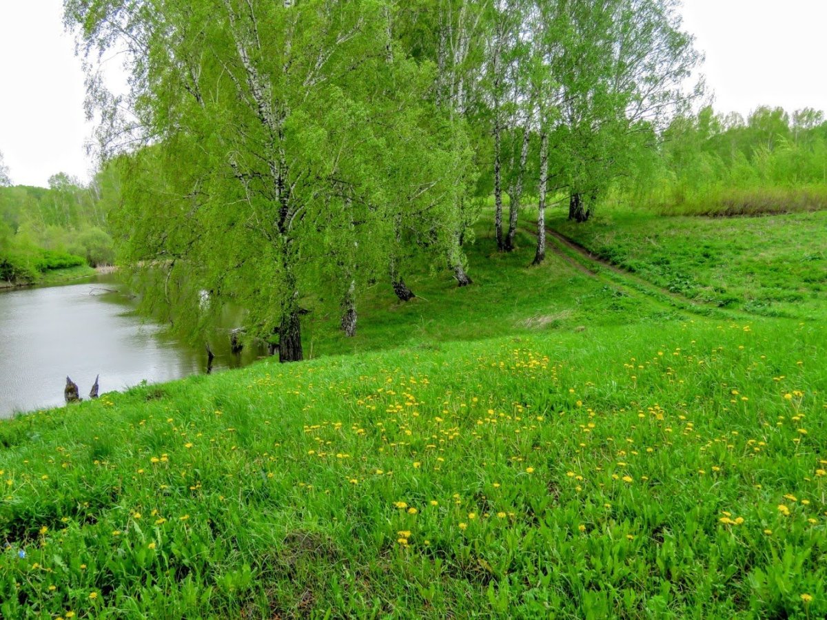 Река Ольшанка
