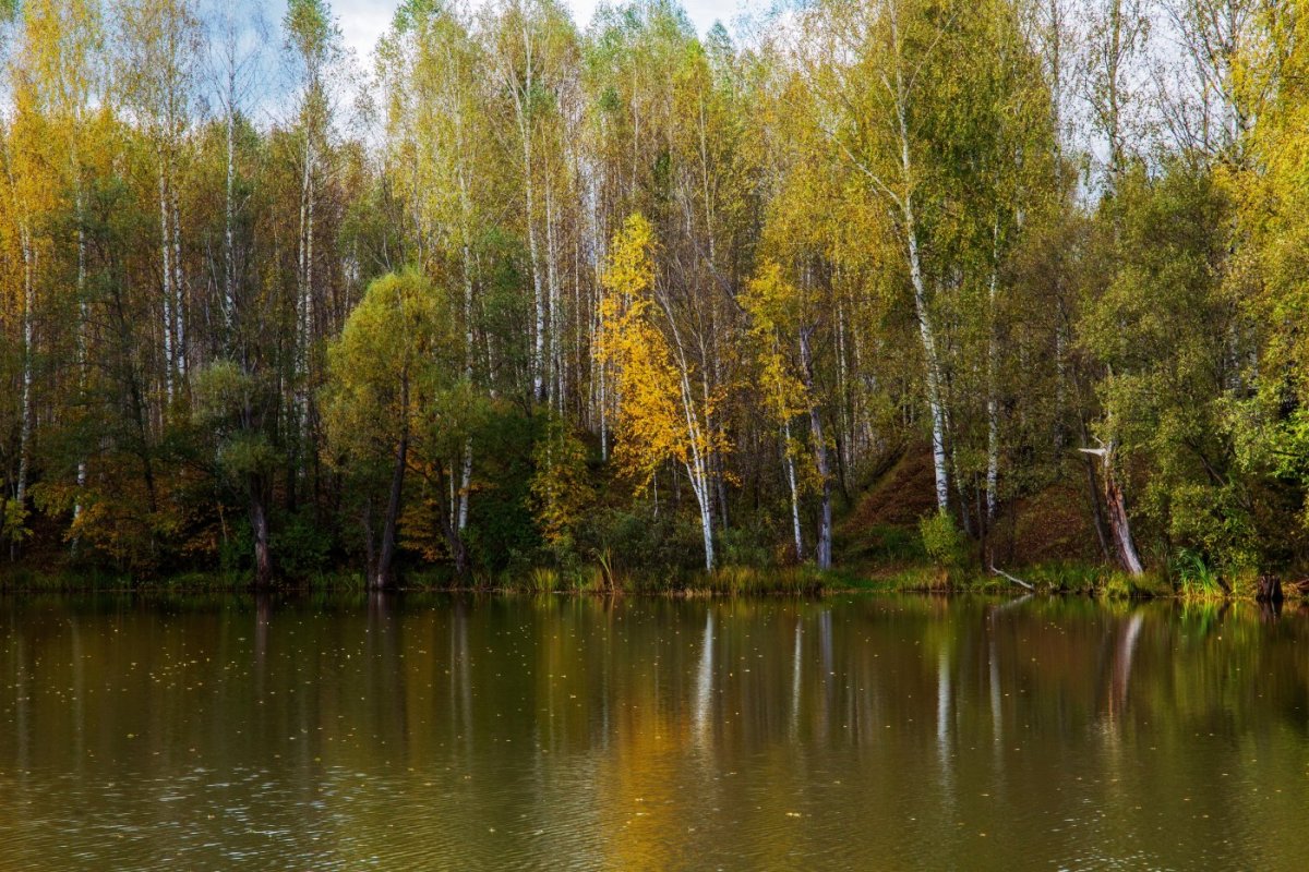 Раифский участок Волжско-Камского заповедника
