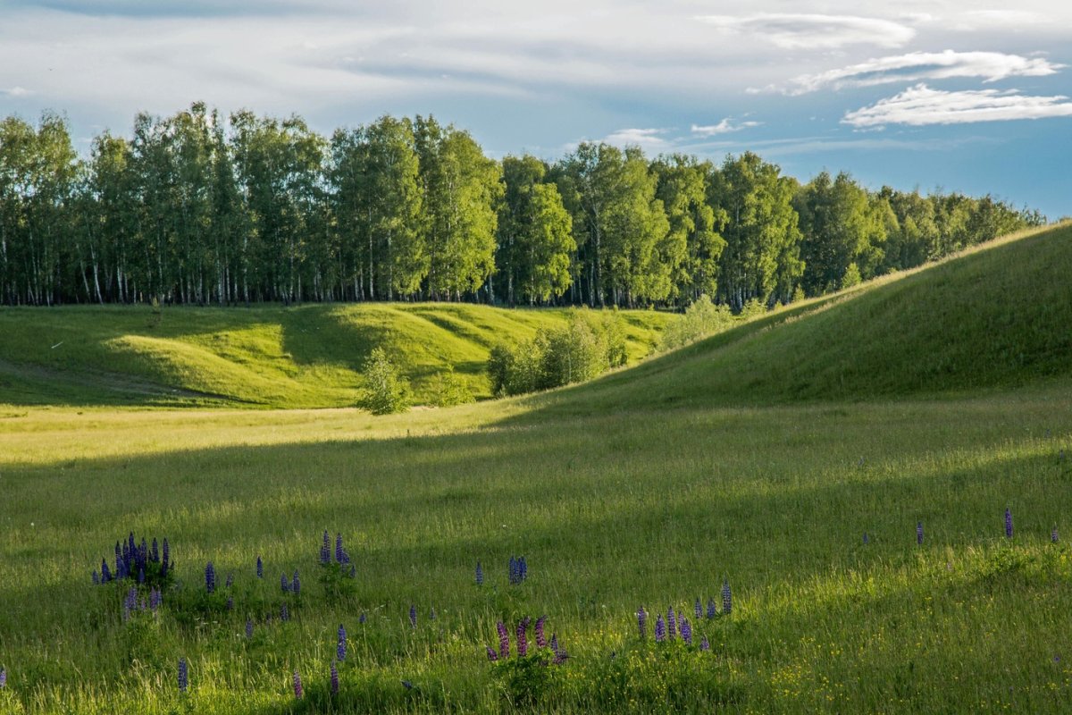 Природа , Республика Татарстан (Татарстан)