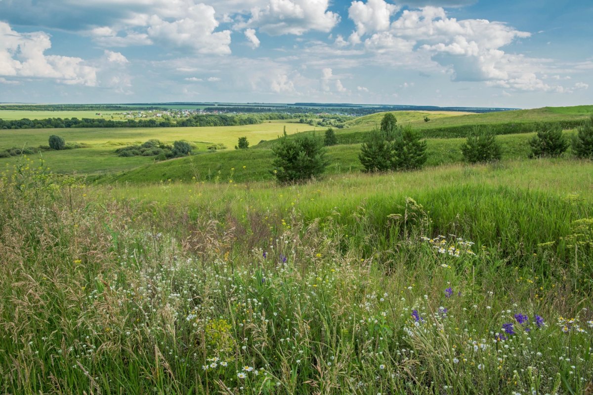 Луга Татарстана