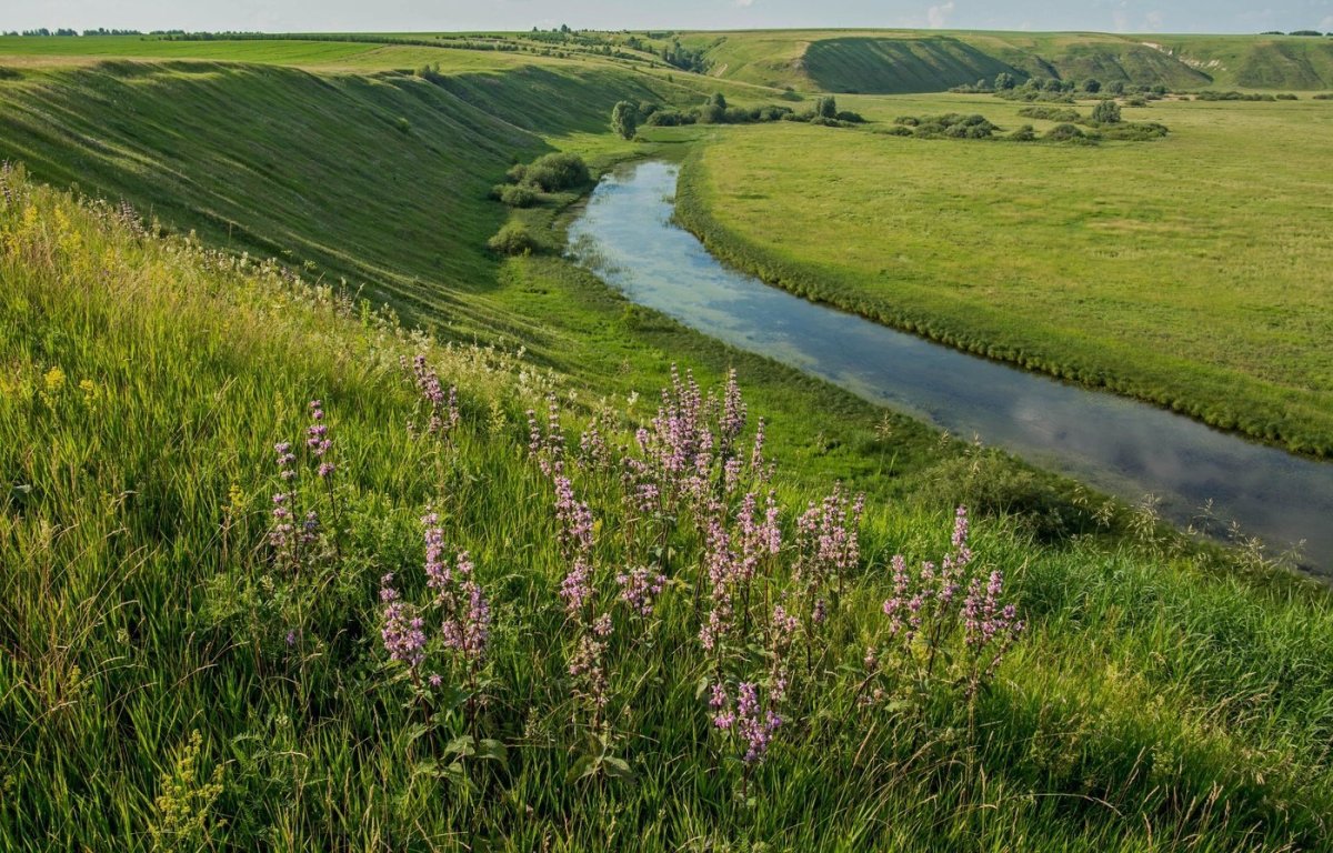 Татарстан Старица река