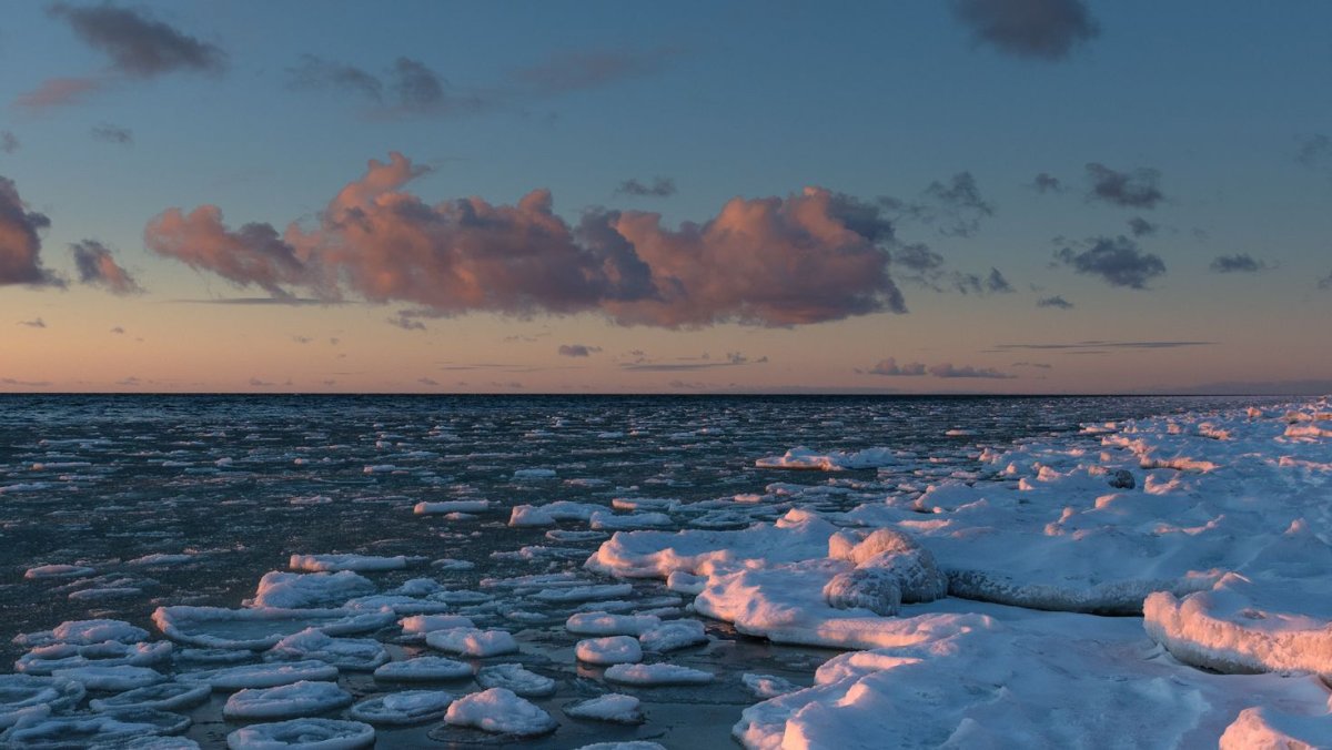 Море зима