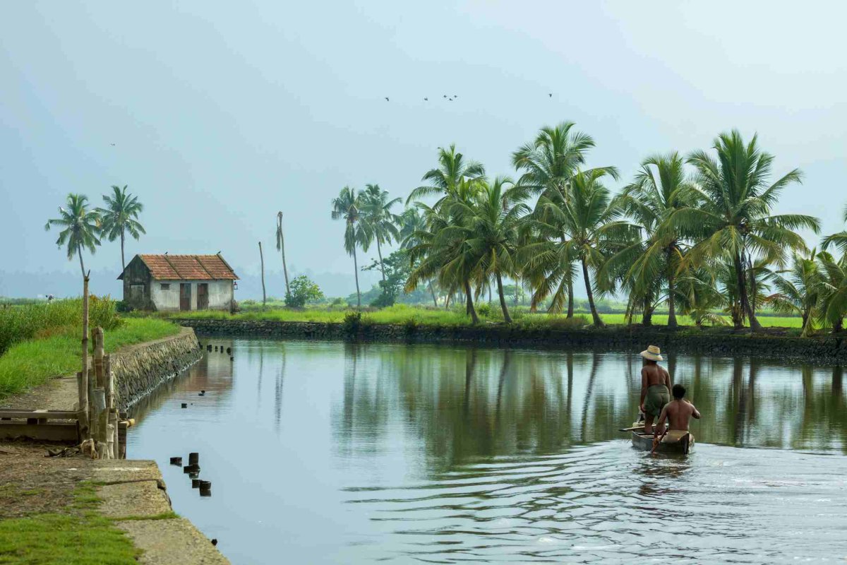 Заводи Кералы (Kerala Backwaters)