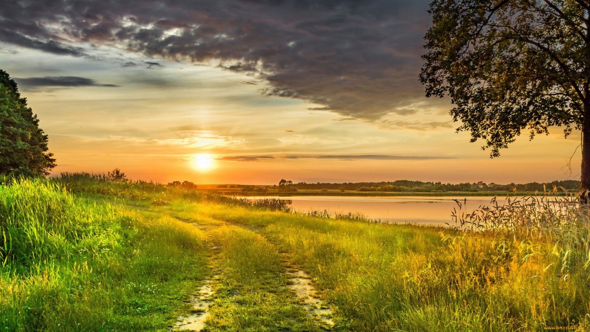 Русская природа