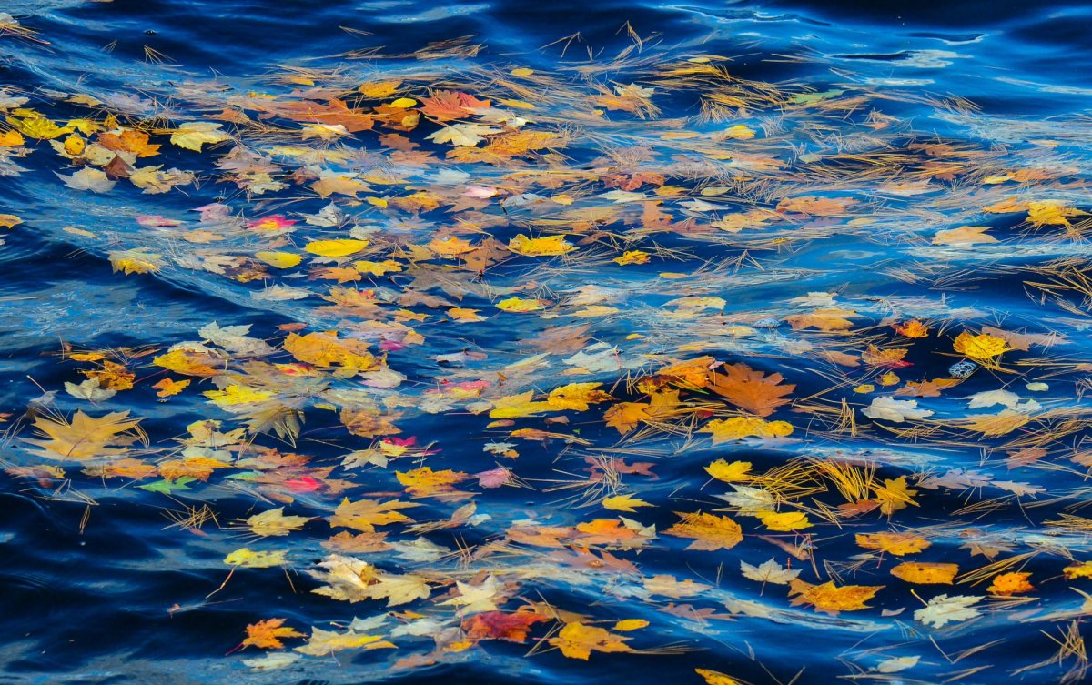 Осеннее море